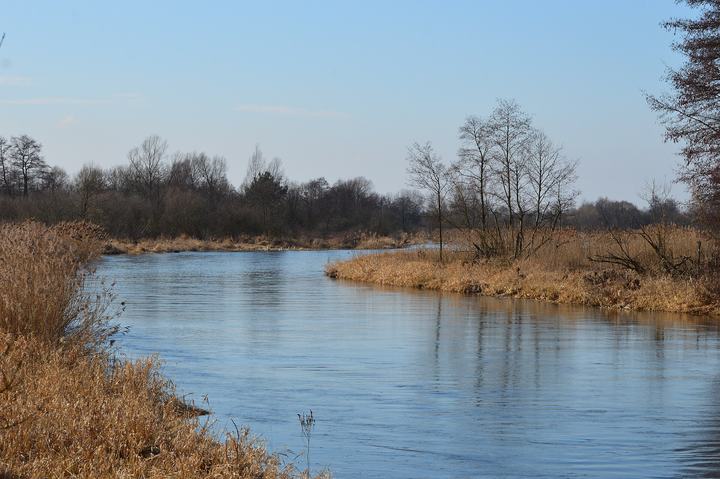 Pilica — rzeka Pilica