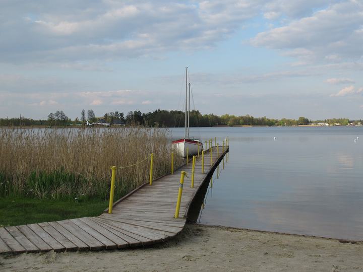 Pojezierze Łęczyńsko-Włodawskie — Jezioro Białe (Okuninka, pow. włodawski, woj. lubelskie, Polska).
