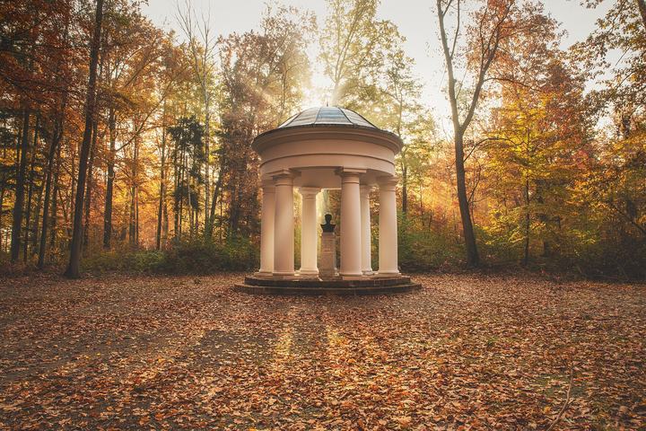 Pokój — Zabytkowy park pałacowy w Pokoju
