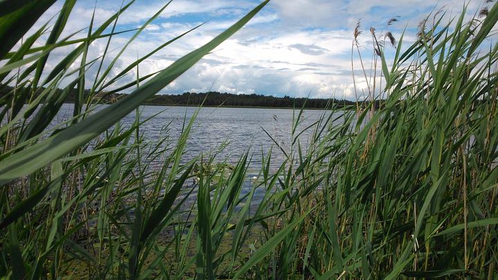 Poleski Park Narodowy – kładki i torfowiska