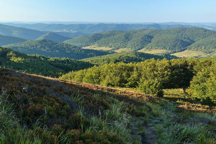 Połonina Caryńska z Ustrzyk Górnych — Bieszczady mountains, Poland. View from Połonina Caryńska