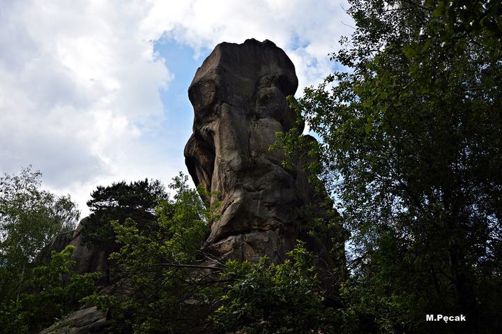 Prządki — This is a photography of protected area with CRFOP ID