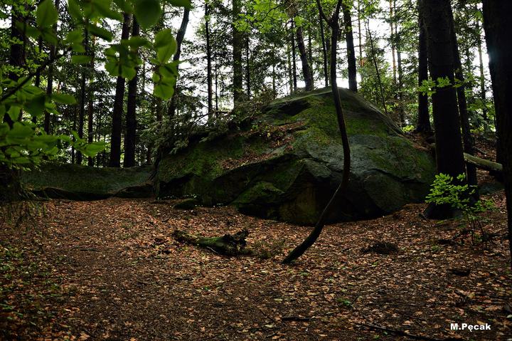 Prządki — This is a photography of protected area with CRFOP ID