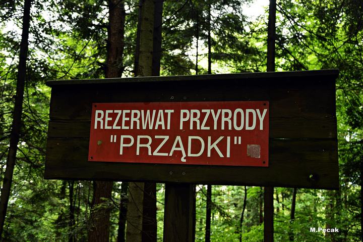 Prządki — This is a photography of protected area with CRFOP ID