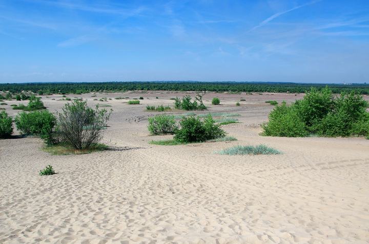 Pustynia Błędowska – polska Sahara