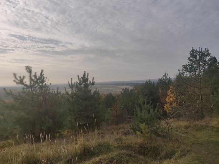Pustynia Błędowska — Błędów Desert