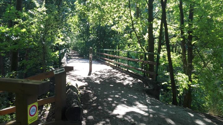 Puszcza Kozienicka – park krajobrazowy