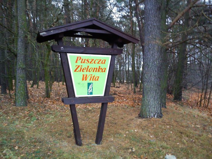 Puszcza Zielonka i Murowana Goślina — Puszcza Zielonka, Rakownia.