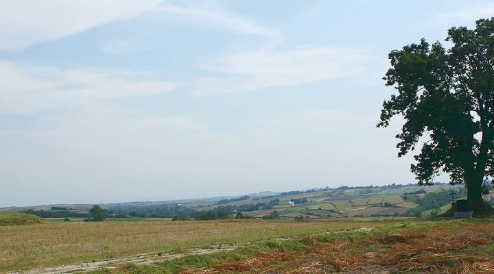 Racławice — Mogiła kosynierów