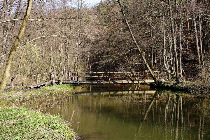 Radunia — Łapino - mostek na rzece Radunia