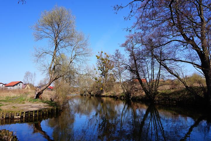 Radunia — Rzeka Radunia, wieś Juszkowo