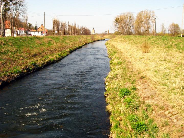 Radunia — Rzeka Radunia , Gdańsk Święty Wojciech.