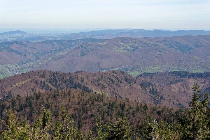 Radziejowa i Przehyba — View from the observation tower on Radziejowa in Beskid Sądecki Mountains
