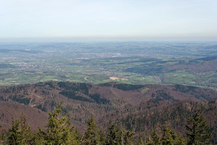Radziejowa i Przehyba — View from the observation tower on Radziejowa in Beskid Sądecki Mountains