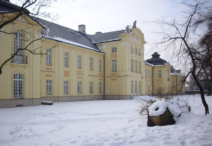 Radzyń Podlaski — Radzyń Podlaski (woj. lubelskie, Polska). Pałac Potockich zimą.