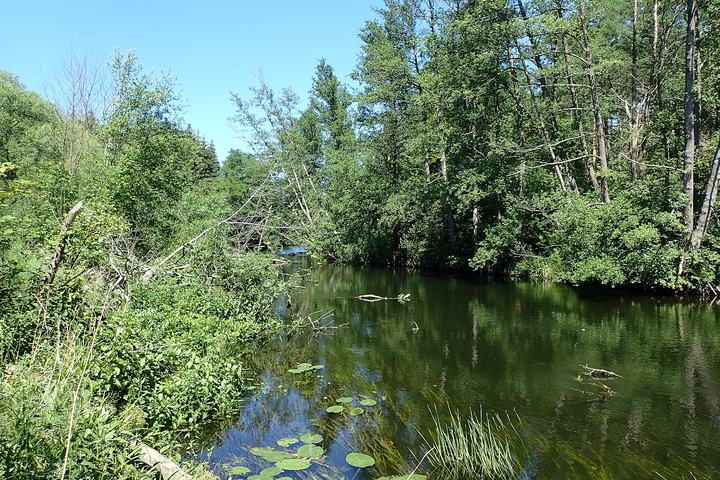 Rega — River Rega between Gryfice and Rejowickie Lake, NW Poland