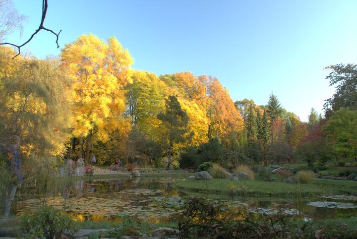 Rogów – arboretum i kolej wąskotorowa