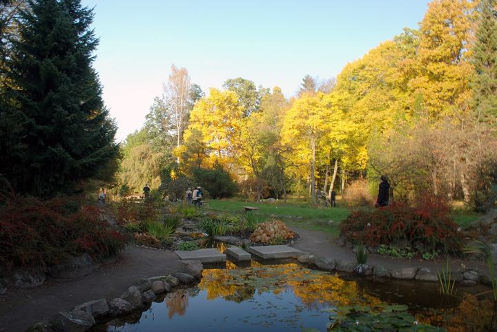 Rogów — Arboretum w Rogowie - Stawy jesienią
