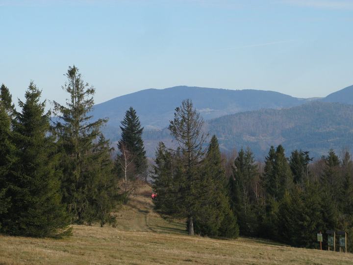 Romanka — Romanka, widok z Rachowca, z prawej Hala Pawlusia, pod Romanką z prawej fragment Suchej Gó