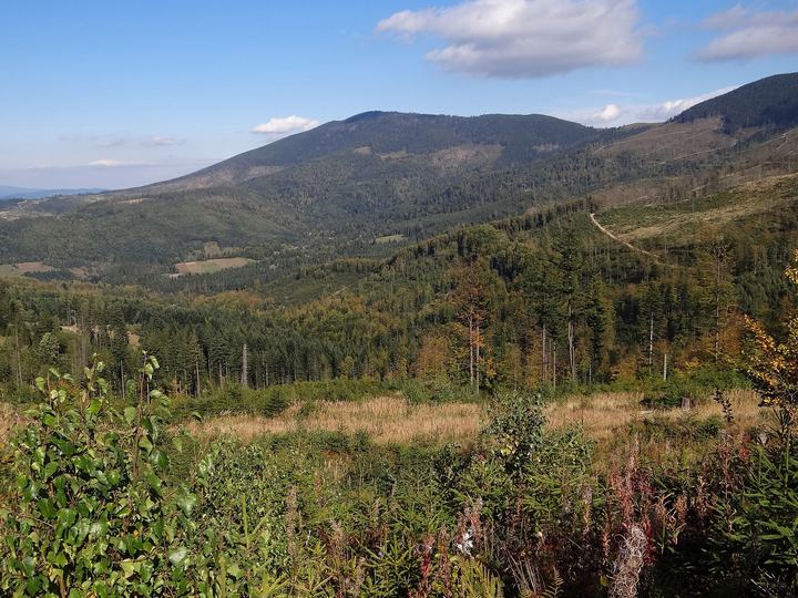 Romanka — Widok na Romankę z okolic Hali Boraczej