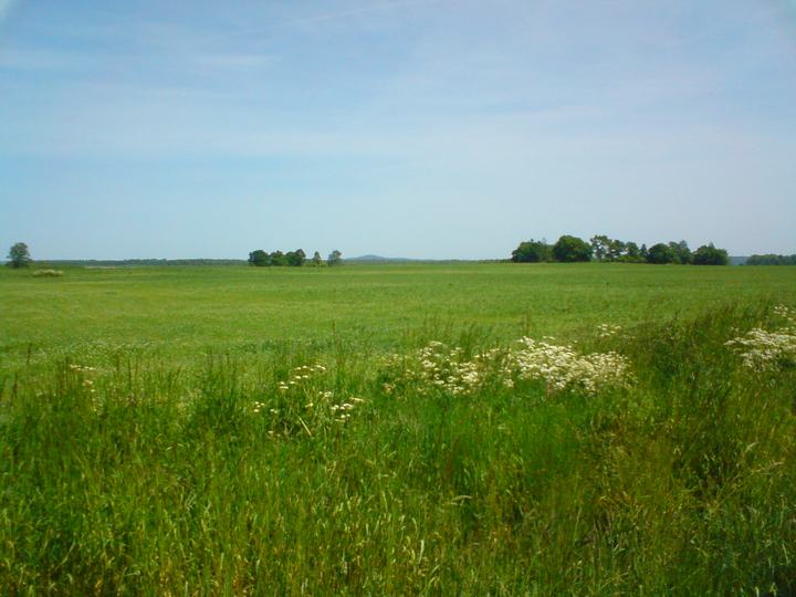 Rowokół — Rowokół