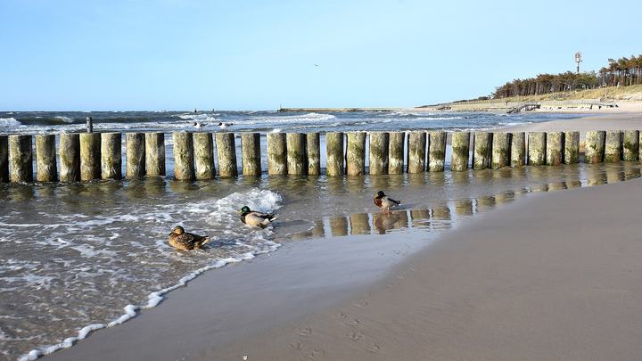 Rowy i Jezioro Gardno — Rowy, plaża