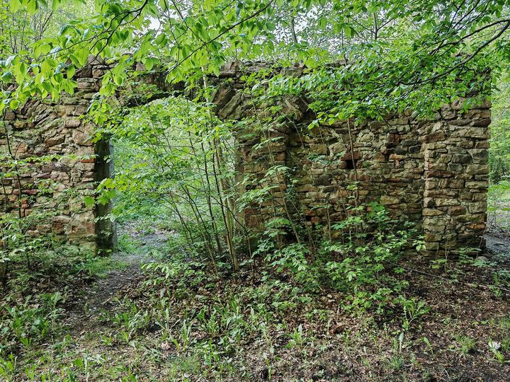 Samsonów — Samsonów, Huta Józef