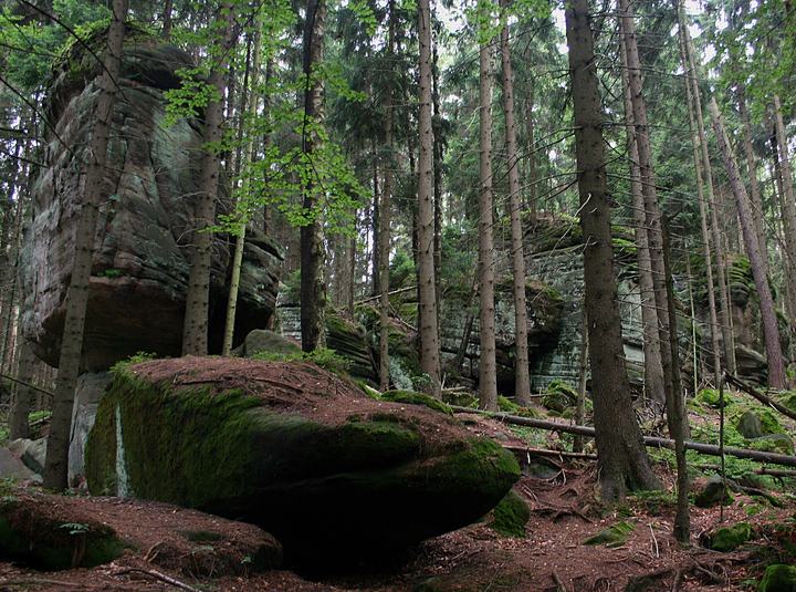 Skalne Grzyby w Górach Stołowych — Fragment skupiska skał Sklane Grzyby w Górach Stołowych