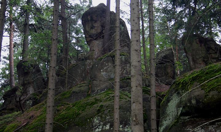 Skalne Grzyby w Górach Stołowych — Fragment skupiska skał Sklane Grzyby w Górach Stołowych. Rogacz