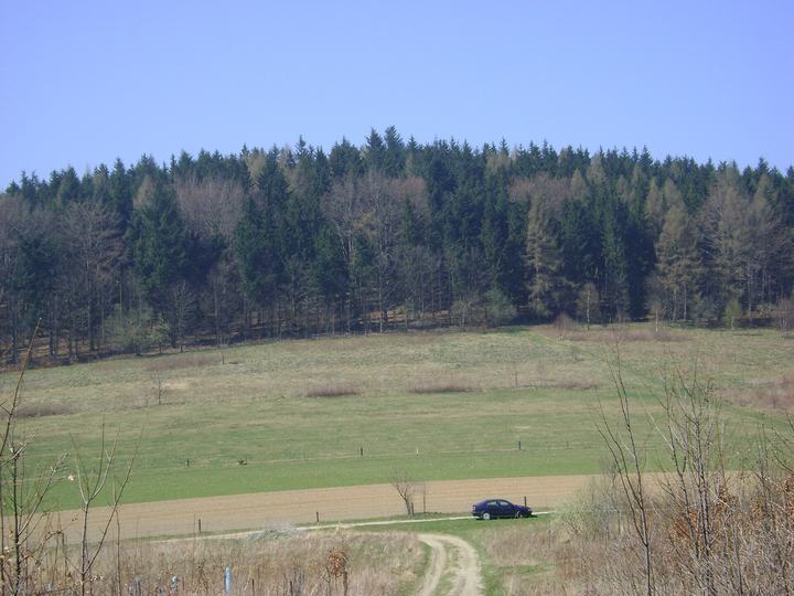 Skopiec — Folwarczna – wzniesienie w południowo-zachodniej Polsce w Górach Kaczawskich (Sudety Zacho