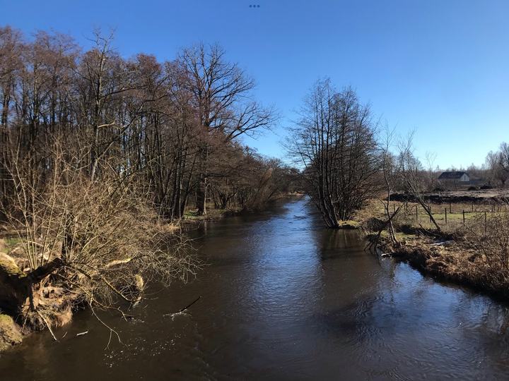 Słupia — River Słupia as seen from a small bridge in/near Wodnica