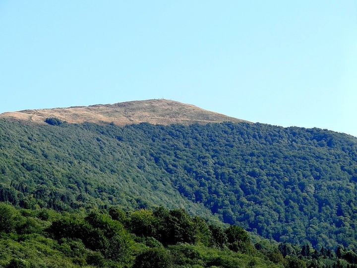 Smerek z Wetliny — Bieszczady. Smerek 1222
