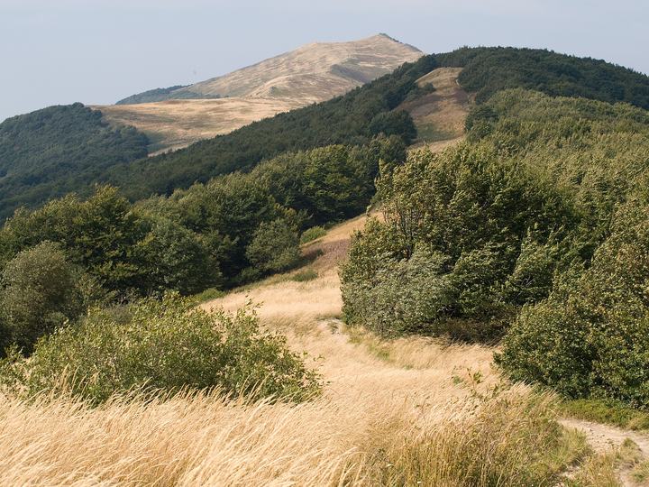 Smerek z Wetliny — Szare Berdo, Smerek in the background.