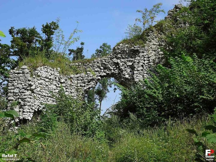 Smoleń — Ruiny zapewne przegrają z naturą.