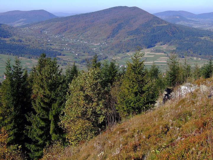 Śnieżnica z Kasiny Wielkiej — Śnieżnica (Beskid Wyspowy). Widok z Łopienia
