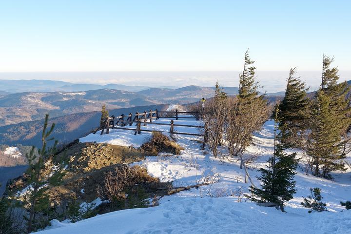 Sokolica w Pieninach i reliktowa sosna — Sokolica peak on the hiking trail to Babia Góra