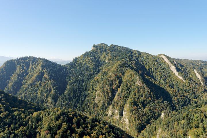 Sokolica w Pieninach i reliktowa sosna — View of Trzy Korony Mountain from Sokolica peak