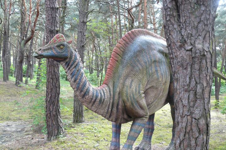 Solec Kujawski — JuraPark Sole Kujawski.