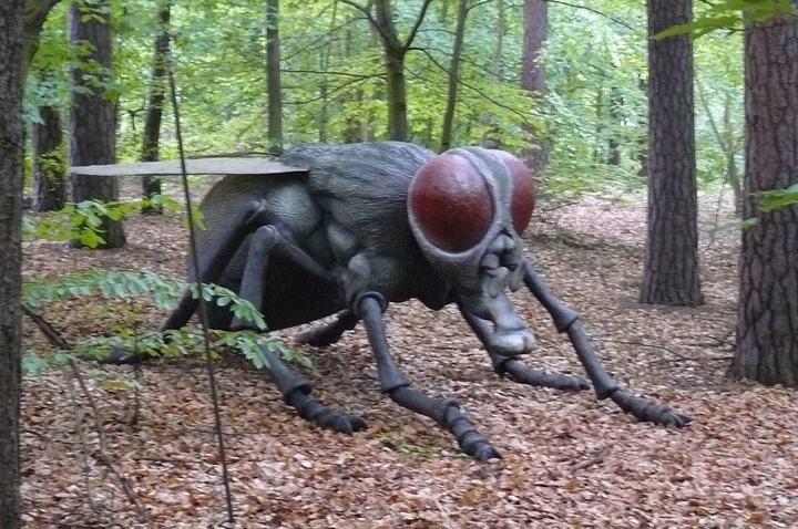 Solec Kujawski — JuraPark Sole Kujawski.