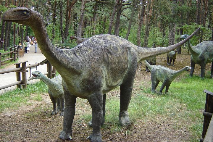 Solec Kujawski — Model of vulcanodon in JuraPark, Solec Kujawski, Poland