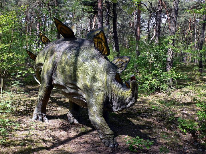 Solec Kujawski — JuraPark, Solec Kujawski.