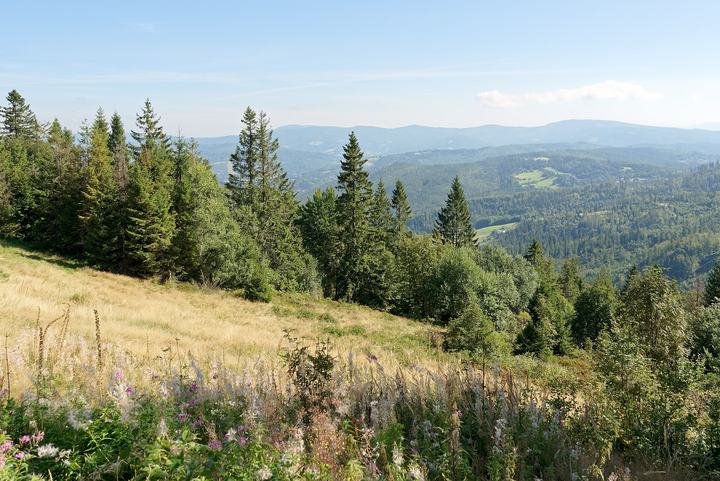 Stożek Wielki — View from Stożek Wielki in Silesian Beskids