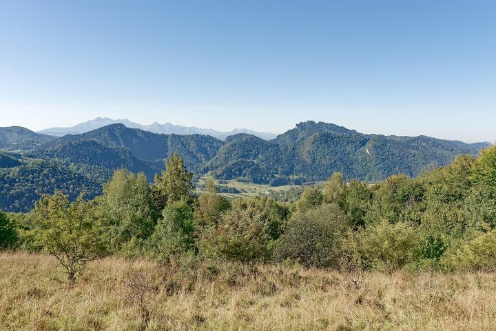 Szczawnica – uzdrowisko w Pieninach
