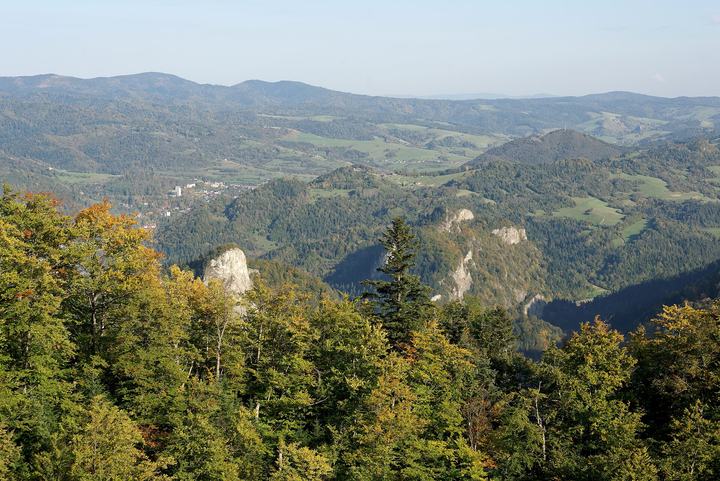 Szczawnica — Eastern view from Trzy Korony: Sokolica peak and the town of Szczawnica