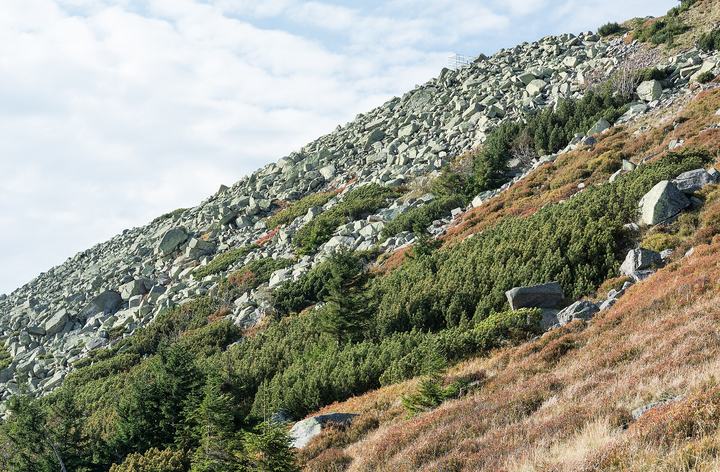 Szrenica i Śnieżne Kotły — Szrenica, Krkonoše, Sudetes
