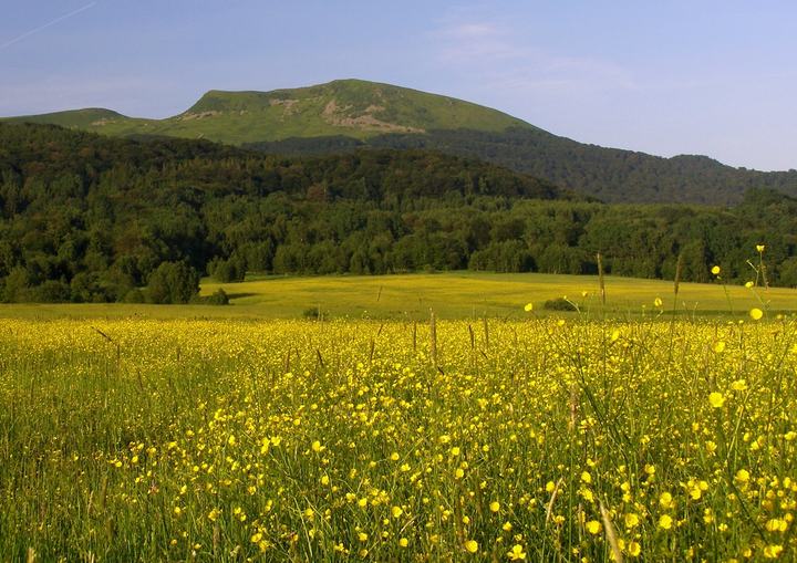 Tarnica z Wołosatego — Tarnica (Bieszczady)