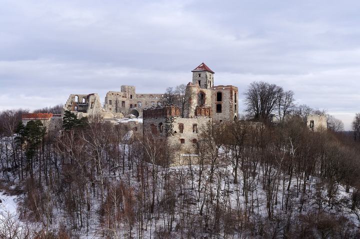 Tenczyn — Tenczyn Castle in Rudno