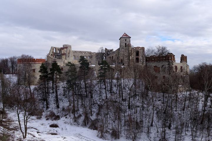 Tenczyn — Tenczyn Castle in Rudno