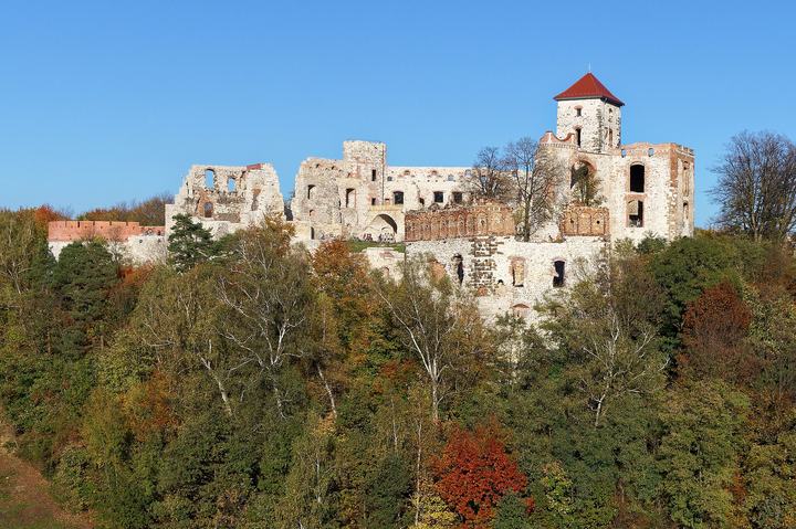 Tenczyn — Tenczyn Castle in Rudno