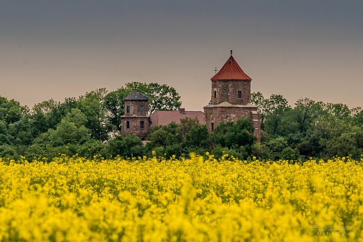 Toszek — The castle in Toszek in spring